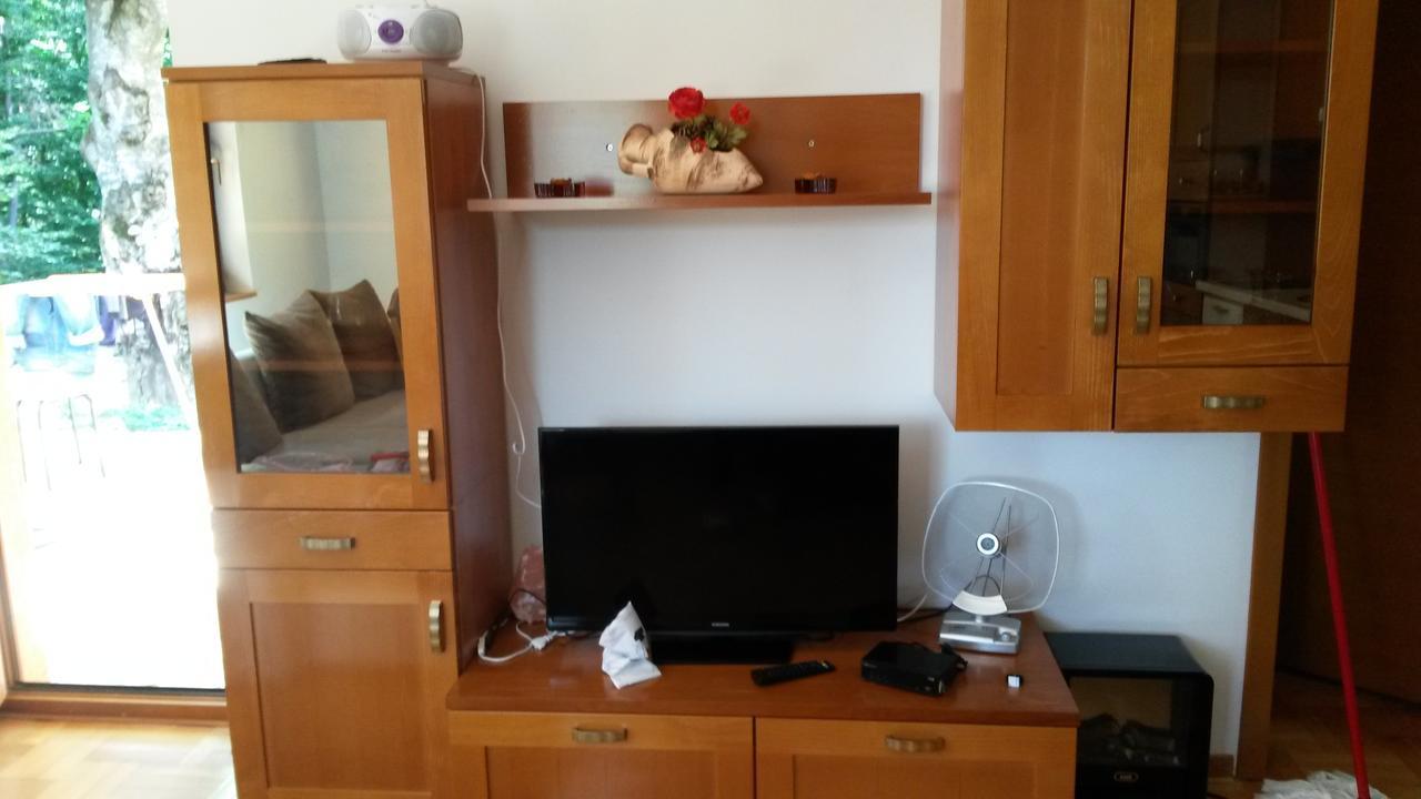 Apartment Joksimovic Zlatibor Exterior foto